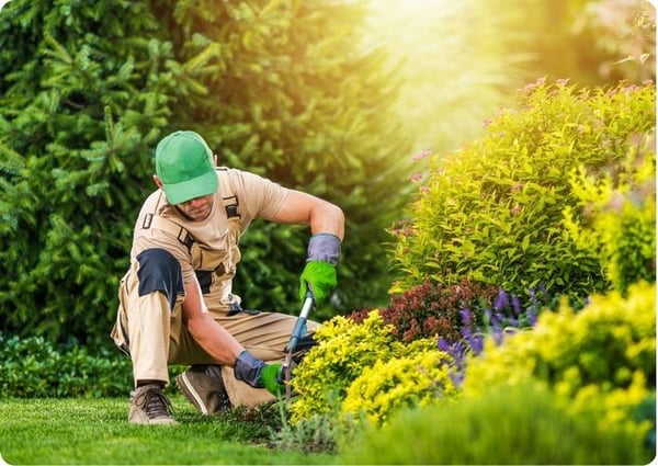 Vendor Webpage draft (7)