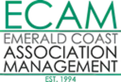ECAM Logo.png